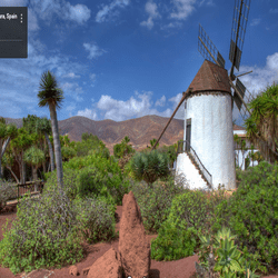 antigua-cactus_garden.png