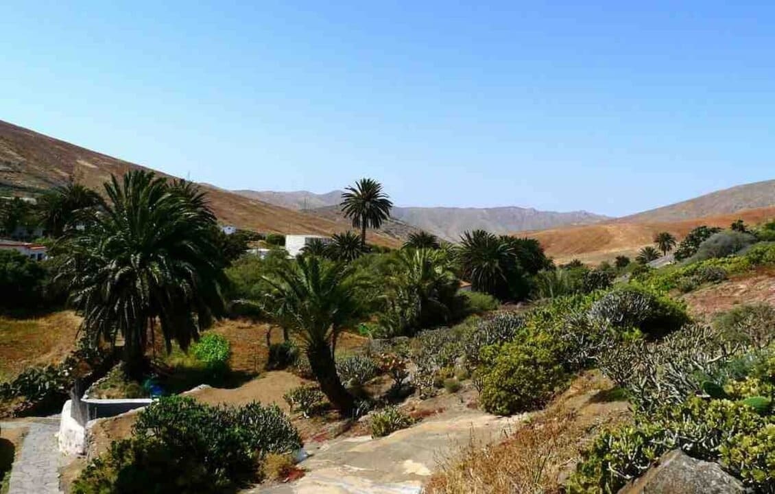 Parque Rural de Betancuria