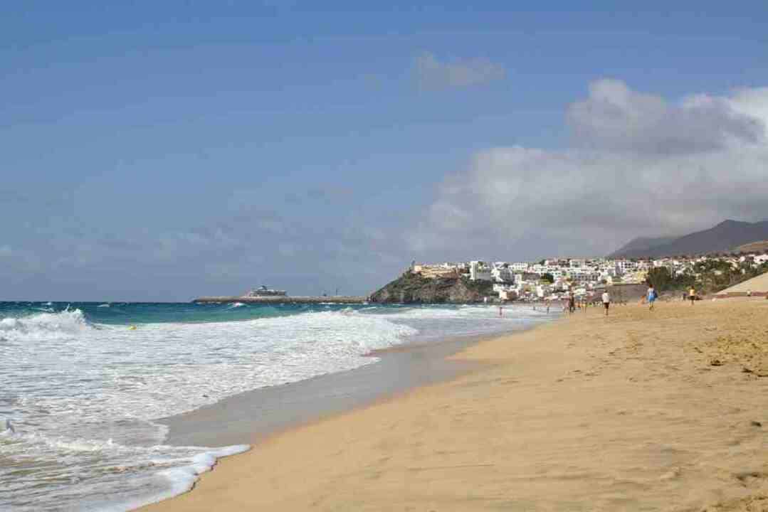 Sitio de Interés Científico Playa del Matorral