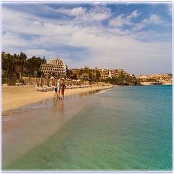 pajara-costa_calma.jpg