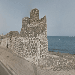 pto_rosario-castillo1.2.png