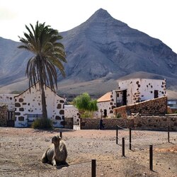 pto_rosario-tefia_ecomuseo1.2.jpg