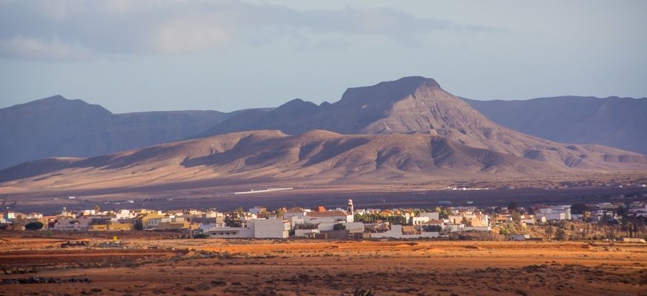 La Oliva